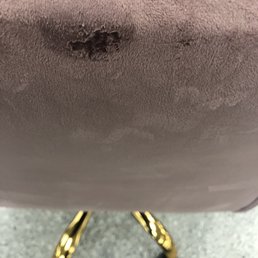All the furniture has wet spots, bite marks, dirt, mud stains, or cracks.