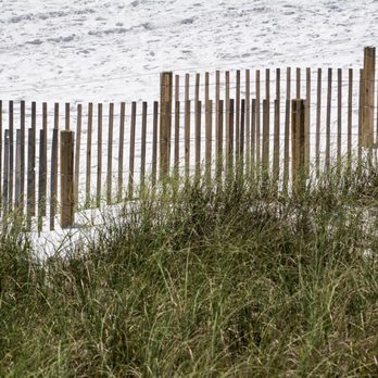 Barefoot BBQ - a fence on the beach - Barbeque Near Me - Seaside, Florida Barefoot BBQ - a fence on the beach - Barbeque Near Me - Seaside, Florida