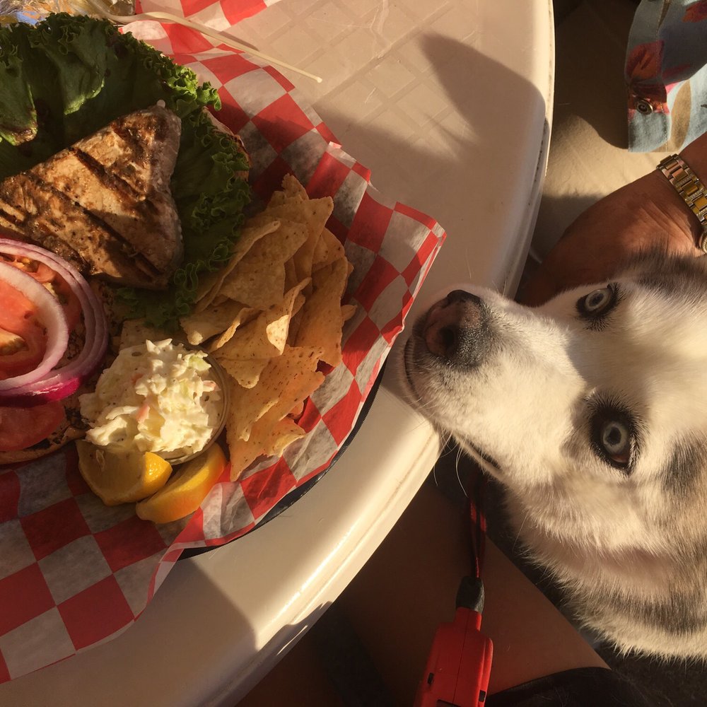 Dogs are allowed to join you in their outside seating area. Dogs are allowed to join you in their outside seating area.