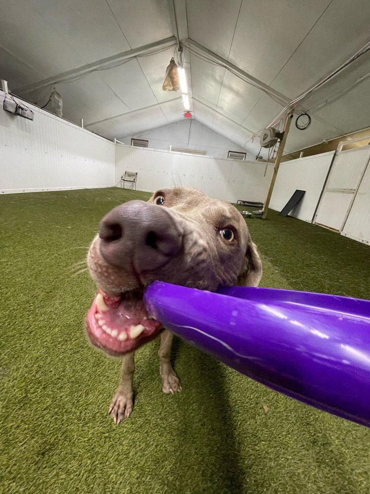 COOLWAG Updated August 2024 62 Photos & 18 Reviews 210 Prairie