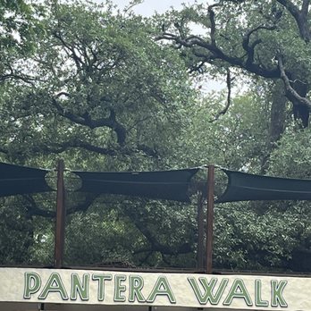 San Antonio Zoo - Panther walk - Zoos Near Me - San Antonio, Texas
