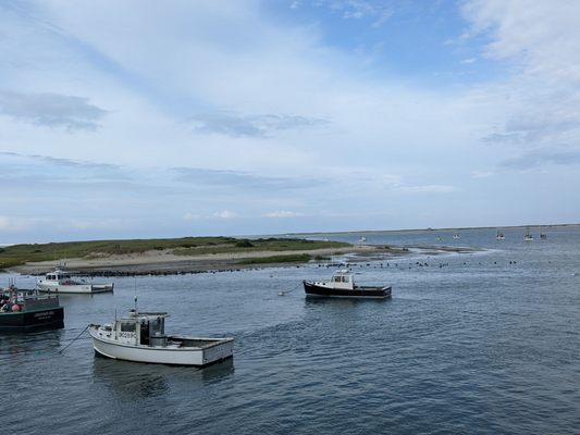 Chatham Pier Fish Market by null