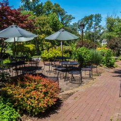 The Sky Room Cafe - Enjoy a meal in our lovely garden