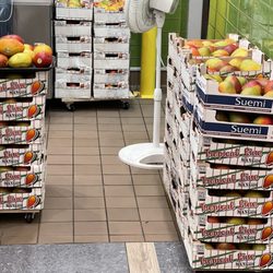 Real Fruit Bubble Tea - Fresh mango crates