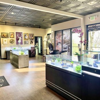 Black Lotus Tattoo Gallery - 1.5.25 - Piercing Near Me - Hanover, Maryland Black Lotus Tattoo Gallery - 1.5.25 - Piercing Near Me - Hanover, Maryland