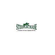 Slide of Steeplechase Complete