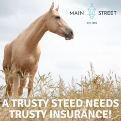 Main Street Insurance Group - We love them just as much as you do! Protect your trusty steed with an insurance policy from us!