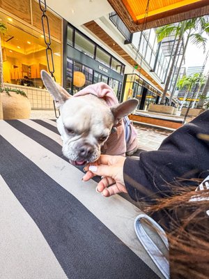 Blue Bottle Coffee by null