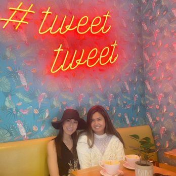 Parakeet Cafe - Del Mar - Coffee & Tea Near Me - San Diego, California Parakeet Cafe - Del Mar - Coffee & Tea Near Me - San Diego, California