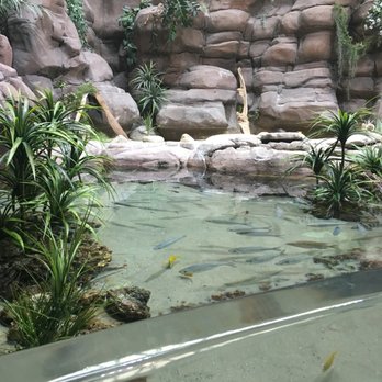 Downtown Aquarium - Museums Near Me - Denver, Colorado Downtown Aquarium - Museums Near Me - Denver, Colorado