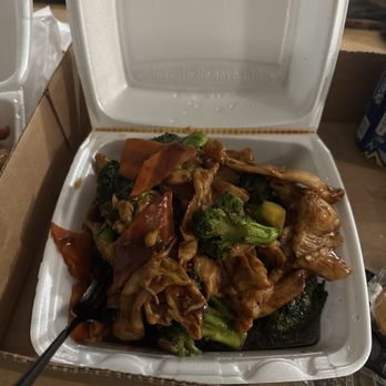 Pagoda - Delicious and so kind. Will be back! - Chinese Near Me - Oakland Park, Florida