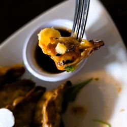The Griffon Gastropub - Potsticker