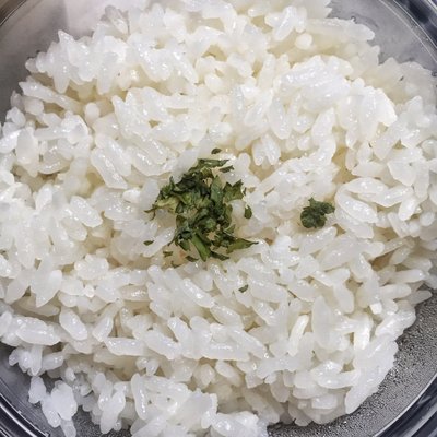 The Grubbies by null