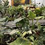 Photo of Gardin