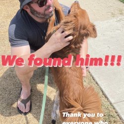 IB Bikes - Me being reunited with my dog thanks to IB Bike Rentals