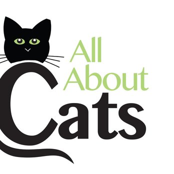 All About Cats - Animal Shelters Near Me - Hilton Head Island, South Carolina All About Cats - Animal Shelters Near Me - Hilton Head Island, South Carolina