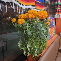 La Bella Mixteca