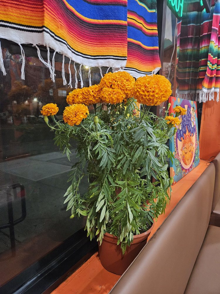 La Bella Mixteca