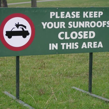 Longleat Safari Park - Zoos Near Me - Warminster, WIL Longleat Safari Park - Zoos Near Me - Warminster, WIL