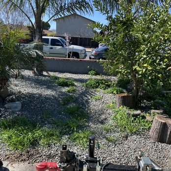 Valencia’s Tree Service - Clean up - Tree Services Near Me Valencia’s Tree Service - Clean up - Tree Services Near Me