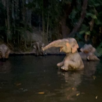 Jungle Cruise - Animatronic elephant still has it going on. - Amusement Parks Near Me - Anaheim, California Jungle Cruise - Animatronic elephant still has it going on. - Amusement Parks Near Me - Anaheim, California