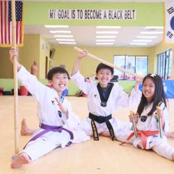 Tiger Kim's Pro Tae Kwon Do - WT-(World TaeKwonDo Federation)