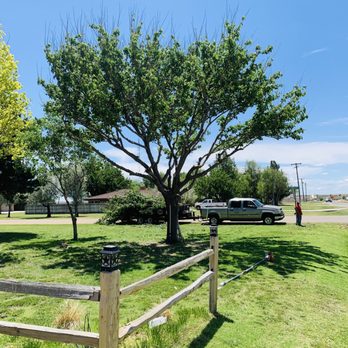 A-Z Tree Service - Tree Services Near Me - Borger, Texas