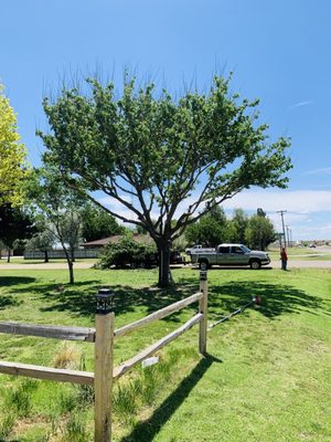 Preparing for winter ice and snow! Preventative maintenance for trees is vital for long term health care! - Are you concerned with the health of your tree? We can help! Let us come out and diagnose the issue you're having Preparing for winter ice and snow! Preventative maintenance for trees is vital for long term health care! - Are you concerned with the health of your tree? We can help! Let us come out and diagnose the issue you're having