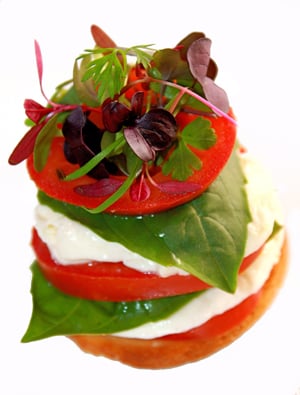 Fresh Origins by null