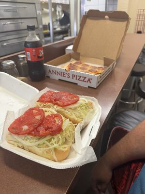 Annie's Pizza by null