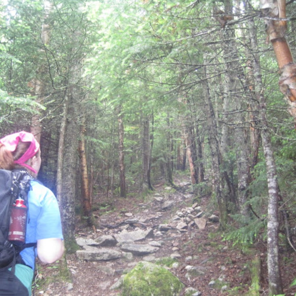 Mount Tecumseh - Facing the trail (not too shabby closer to the base). - Hiking Near Me - Waterville Valley, New Hampshire Mount Tecumseh - Facing the trail (not too shabby closer to the base). - Hiking Near Me - Waterville Valley, New Hampshire