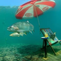 Capernwray Diving & Leisure