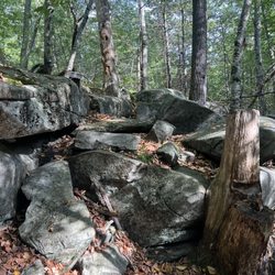 Pride Preserve