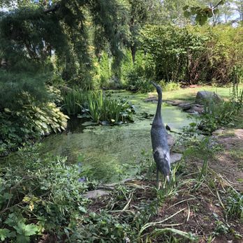 Paxson Hill Farms - Peacock! - Nurseries & Gardening Near Me - New Hope, Pennsylvania