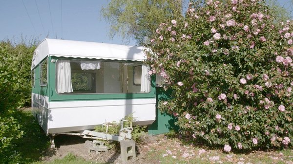Te Aroha Holiday Park - Campground & Hot Pool by null