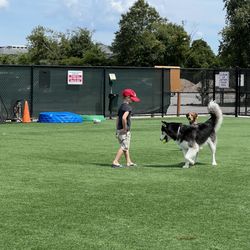 Newbridge Road Park Dog Run