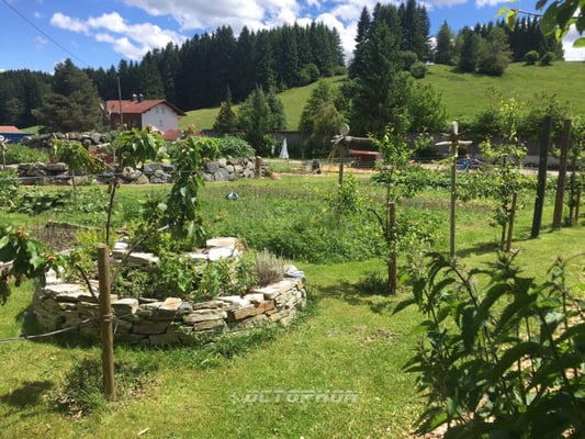 Burghotel Bären by null