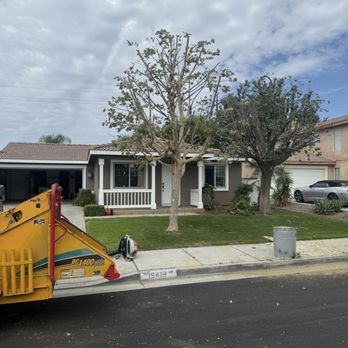 Diamond Tree Service - Tree Services Near Me Diamond Tree Service - Tree Services Near Me