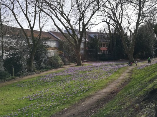 Kaiserpfalz Kaiserswerth by null