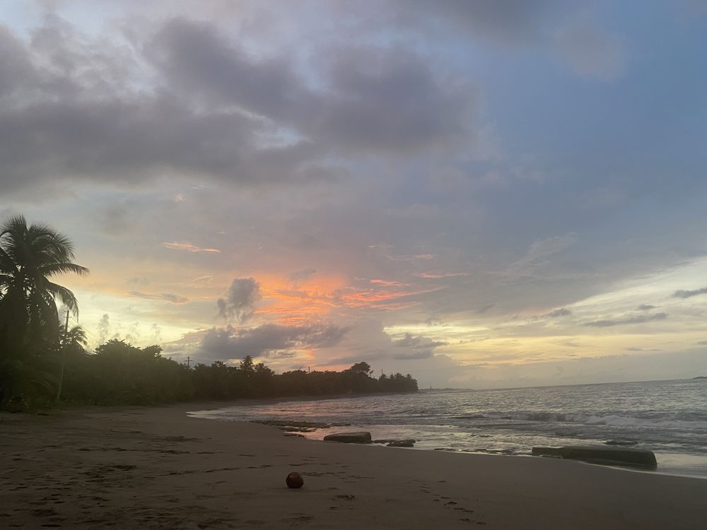 La Palmita Image
