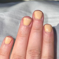 Orchids Spa & Nails - Left hand fingers: Pinky to Index