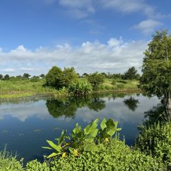 Willow Fork Park
