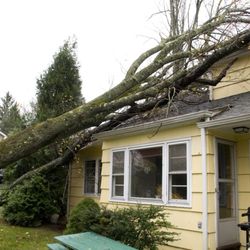 Ben's Tree Service - Storm damage emergency service 24-7