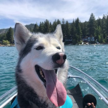 Day Go Adventures - Rafting/Kayaking Near Me