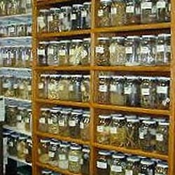 Nawei's Acupuncture Clinic