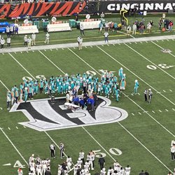 Bengals Pro Shop - White tiger night