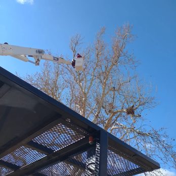 TBA - Tree Services Near Me - Luther, Oklahoma TBA - Tree Services Near Me - Luther, Oklahoma