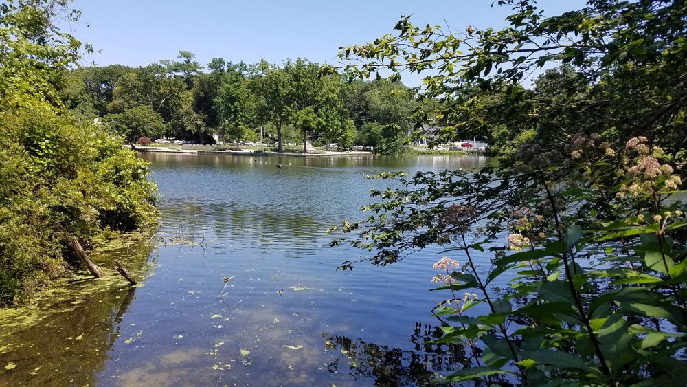 Social spots from Avalon Nature Preserve