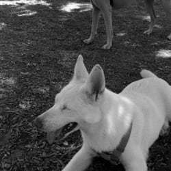 Hidden Valley Park - My pups LOVE this place!