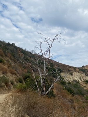 Stough Canyon Nature Center by null